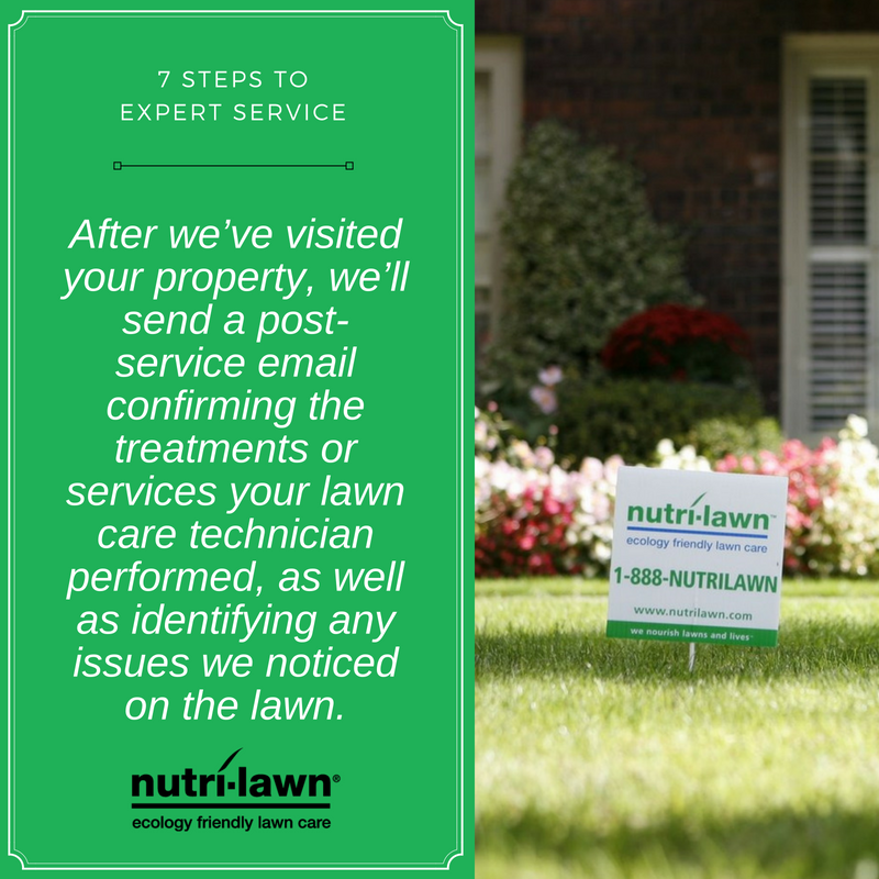 Kelowna Lawn Care & Weed Control NutriLawn