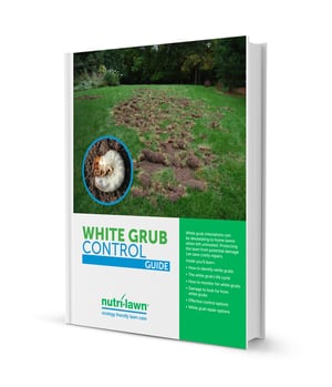 Grub_Ebook_Cover.jpg