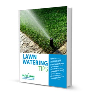 Watering_Tips.jpg