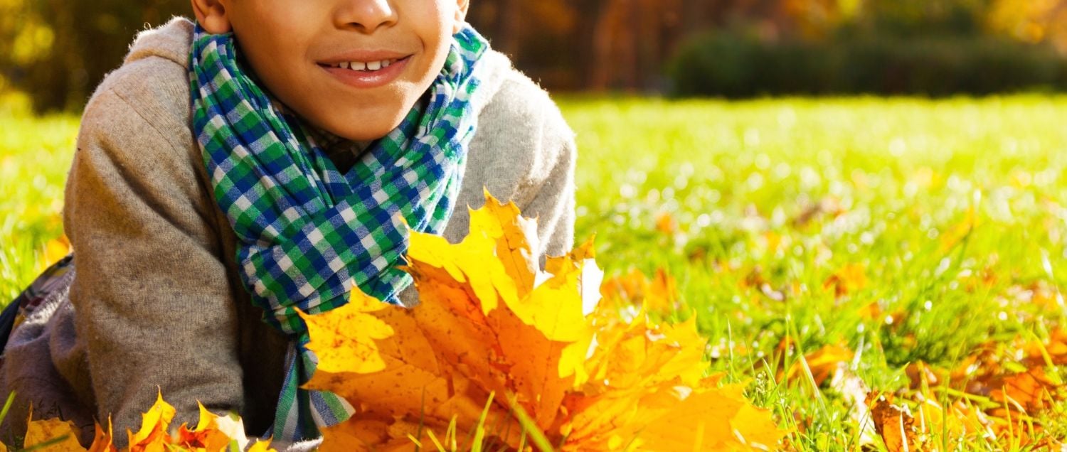 fall leaves