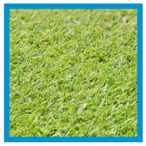 grass-type-creeping-bentgrass.png