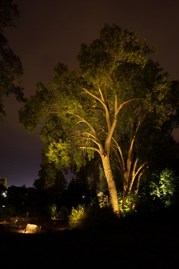 mississauga-landscape-lighting