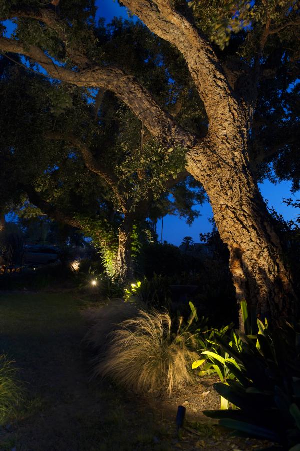 mississauga-landscape-lighting2