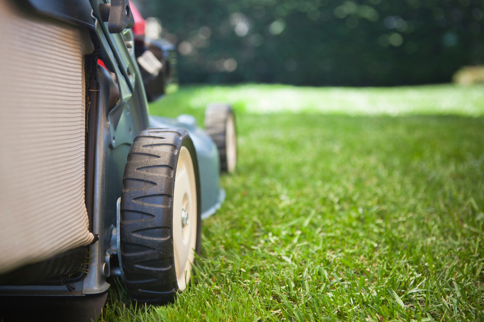 Lawn mowing services