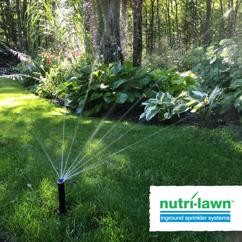 Mississauga Lawn Care & Weed Control NutriLawn