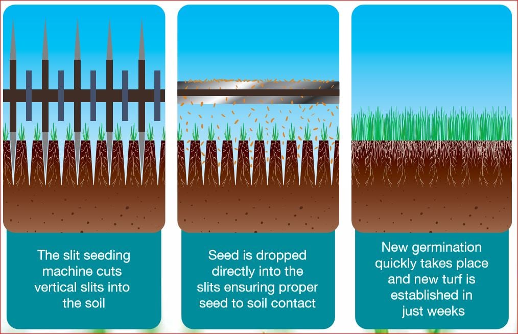 nutrilawn slit seeding diagram