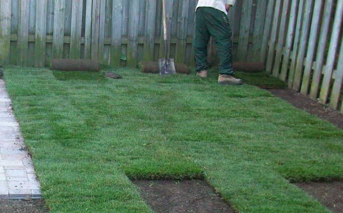 Lawn renovation sales