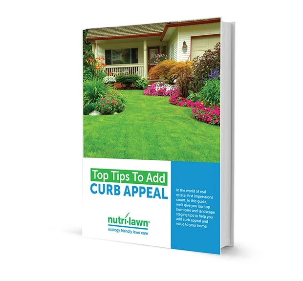 CurbAppealEbookCover_wide