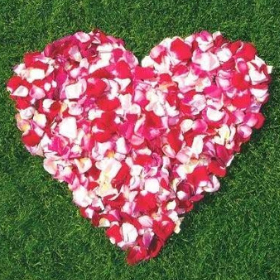Canada lawn care service