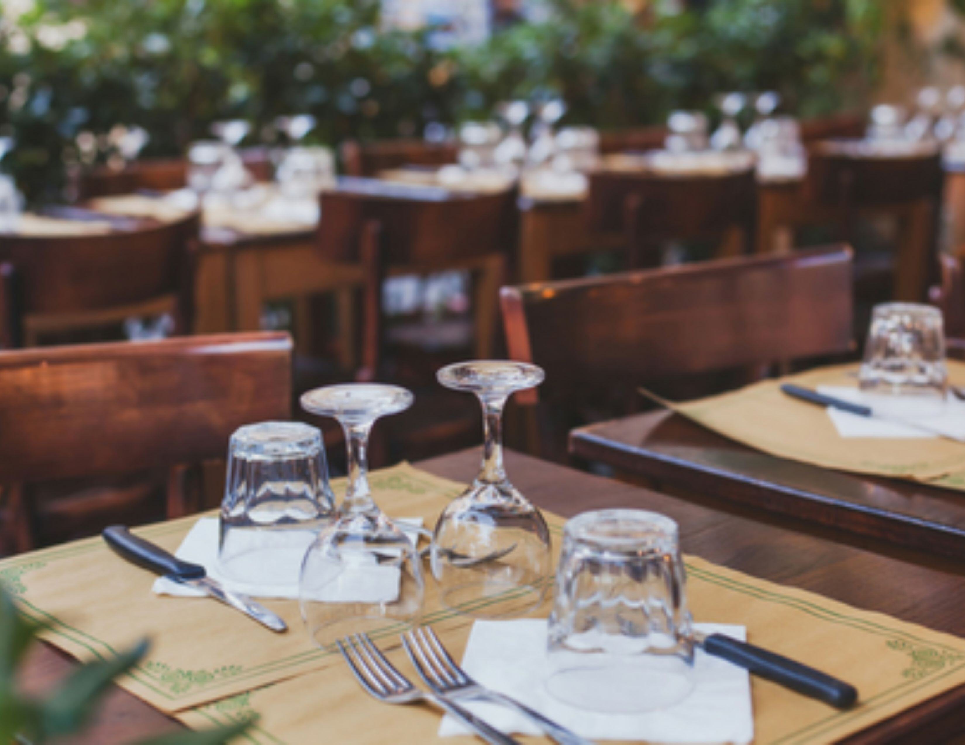 mosquito-control-outdoor-venues-patios