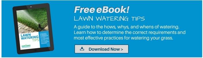 Download our Watering Guide >