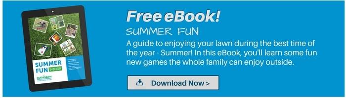 Download your free Summer Fun eBook >