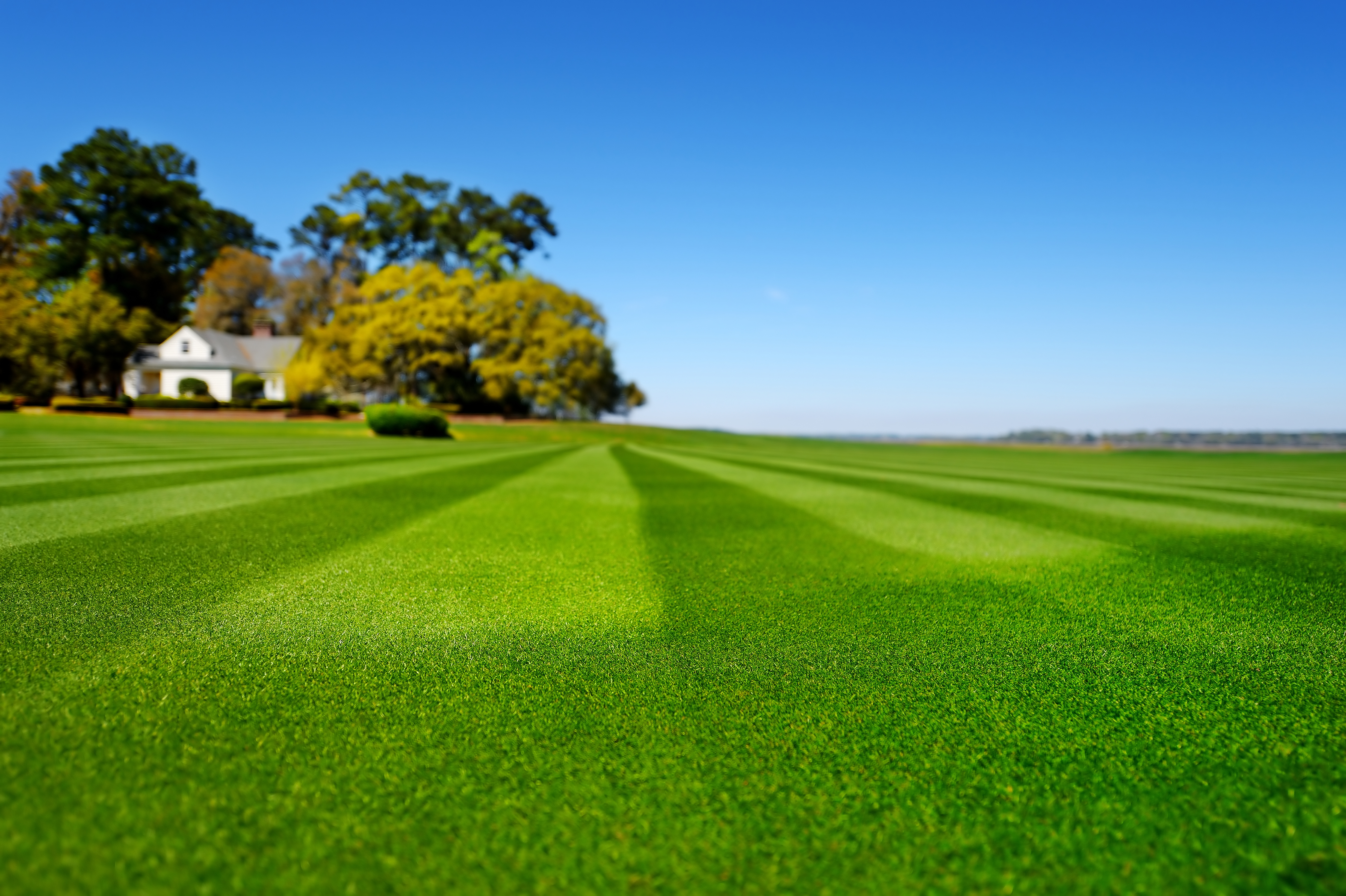 lawn care Canada lawn care Canada