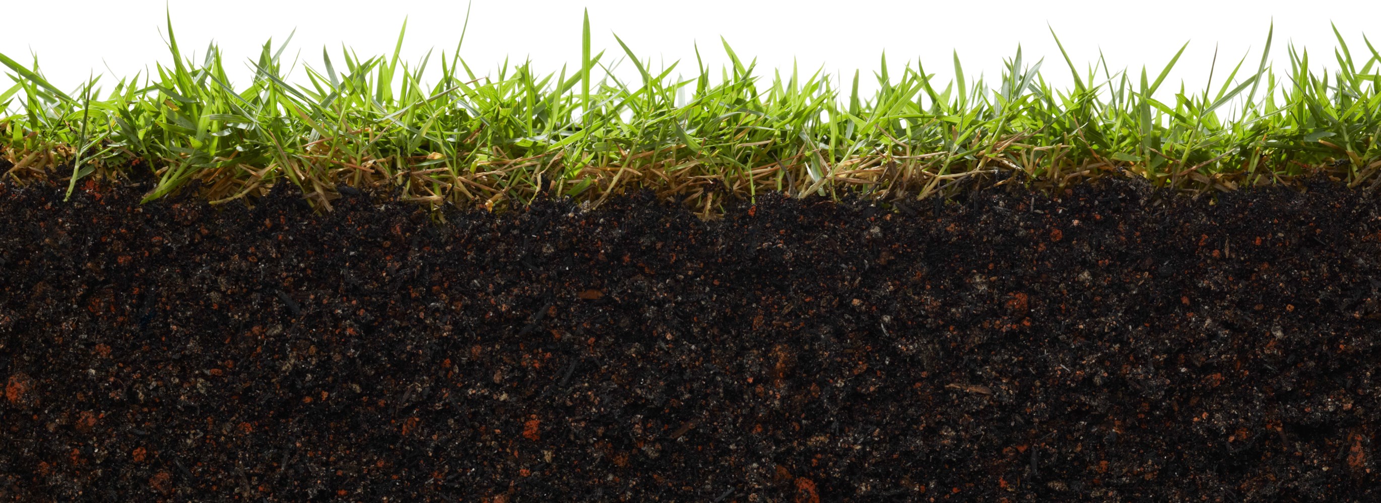 3 Soil Problems Solved