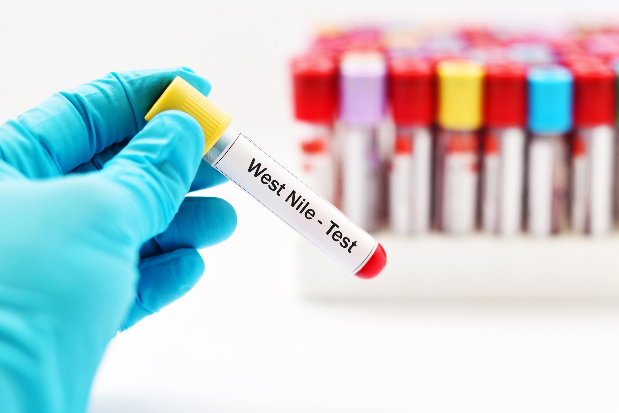 Exploring the Mosquito Species of Canada